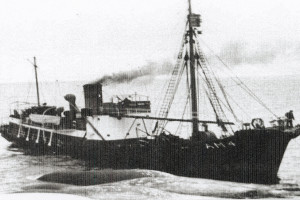 Bilde av VIKINGEN VII