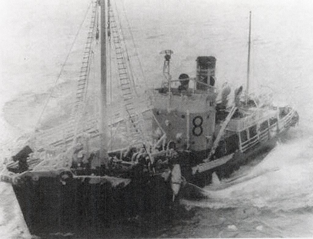 VESTFOLD X (ex VIKINGEN VI)