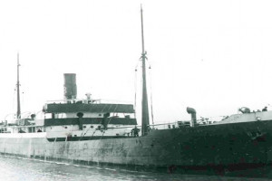 ELDRID (1)