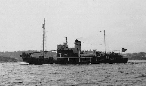 STAR VII