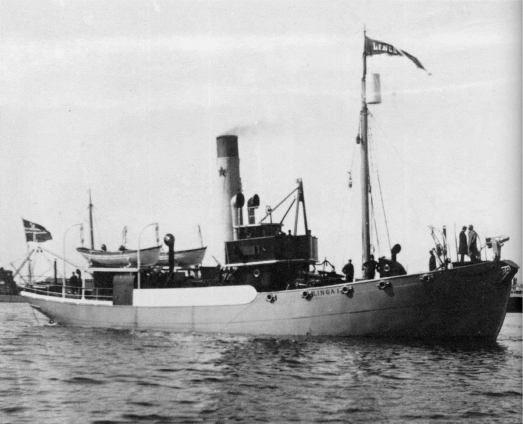 HIDALGO (ex LINGA I)