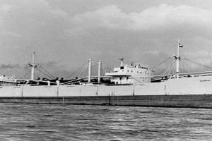 VIKDAL
