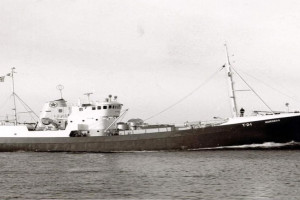 STAR X (II)