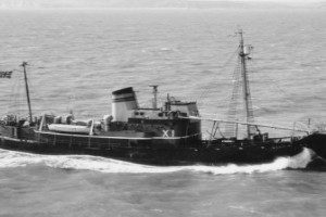 Bilde av STAR XI (II)