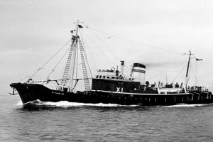 STAR XI (II)