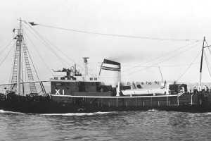 STAR XI (II)