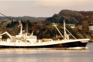 STAR XI (II)