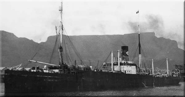 N. T. NIELSEN ALONSO