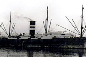 N. T. NIELSEN ALONSO