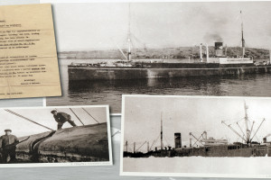 N. T. NIELSEN ALONSO