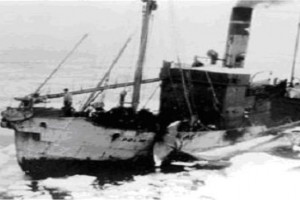 POL IV