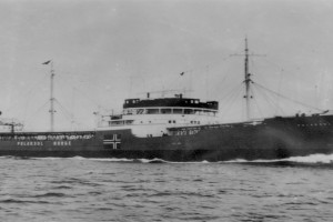Bilde av POLARSOL (I)