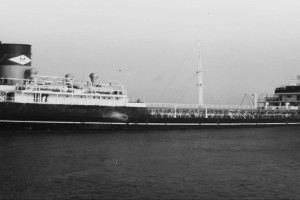 Bilde av POLARSOL (I)