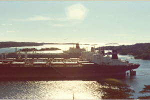 Bilde av POLARBRIS (II)