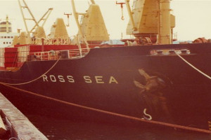 Bilde av ROSS SEA