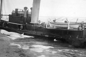 KOS III (II)