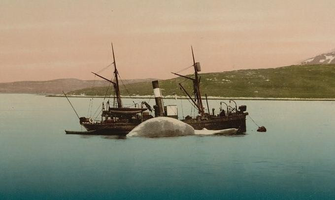 MATHILDE som NANCY GREY