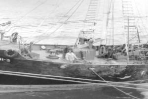 Bilde av SOUTHERN MAID som UNI-3