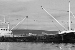 SOUTHERN TRUCE som LOVISA