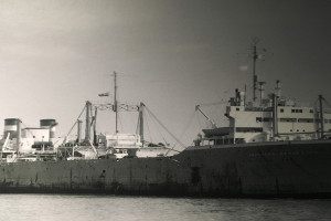 Bilde av SOUTHERN HARVESTER