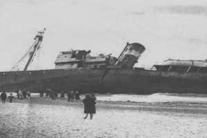 Hvalbåt SOUTHERN BRIAR