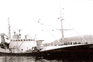 SOUTHERN GUIDER som BIRKELAND