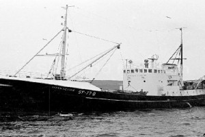 SOUTHERN ARCHER som VITAN SENIOR