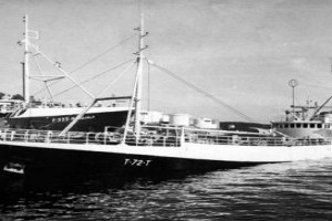 SOUTHERN HARPER son ÆGE