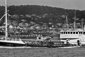 SOUTHERN HARPER som ÆGE