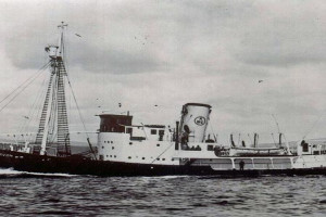 SOUTHERN BOXER som CARNARVON