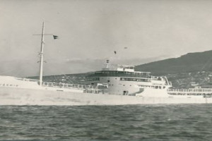 Bilde av JASMIN (II)