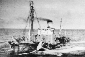 Bilde av BOUVET 5