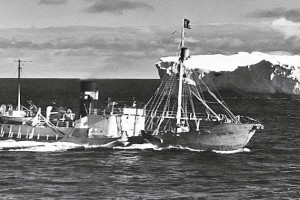 Bilde av KOS 36
