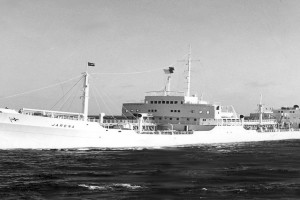 Bilde av JARENA