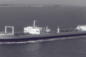 Bilde av JARAGUA