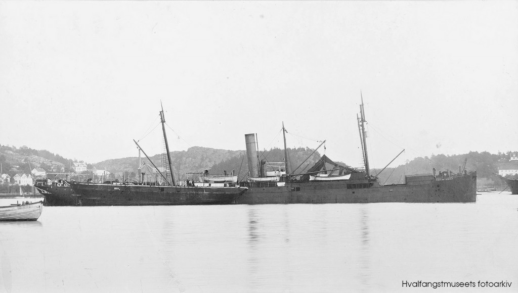 FRIDTJOF NANSEN II