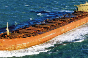 Bilde av JARACONDA (II)