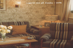Bilde av JASAKA
