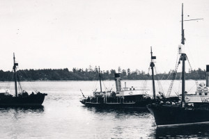 Bilde av STAR III