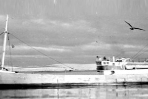 NEB II som COOL BOY.