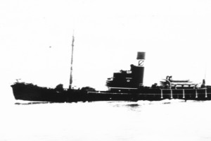 Bilde av HAVØRN III