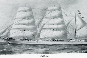 ELIDA 