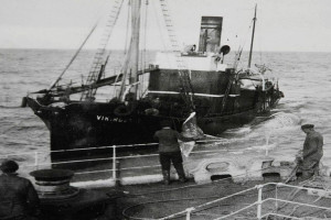 VIKINGEN I