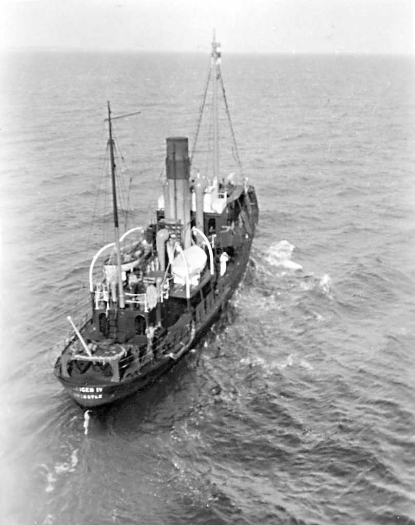 VIKINGEN IV