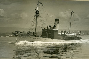 Bilde av STAR XVIII