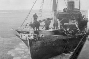 VESTFOLD V (ex FJORD)