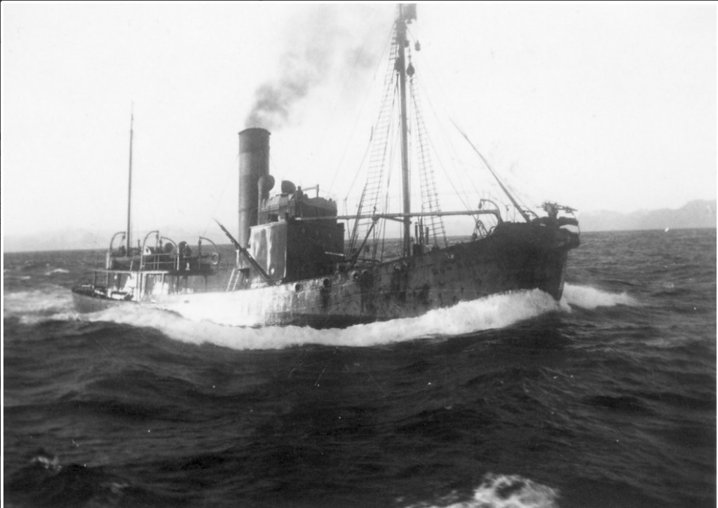 ORCA