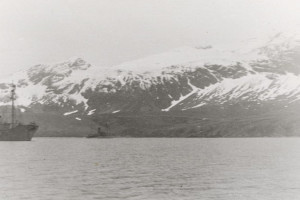 Bilde av PETREL