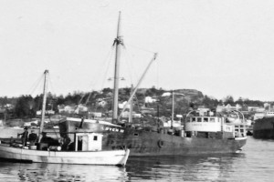Bilde av LØVEN III