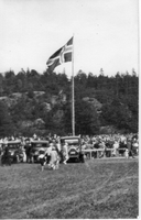 Bilde av 